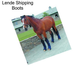Lende Shipping Boots
