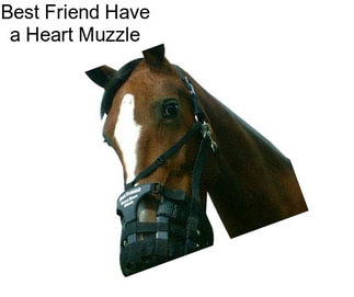 Best Friend Have a Heart Muzzle
