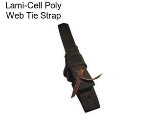 Lami-Cell Poly Web Tie Strap