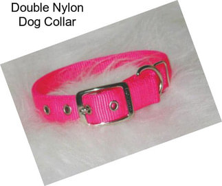 Double Nylon Dog Collar