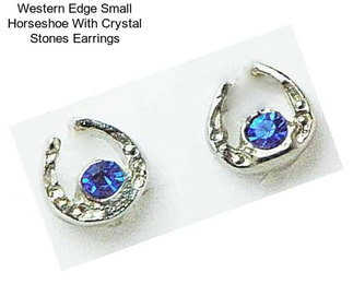 Western Edge Small Horseshoe With Crystal Stones Earrings