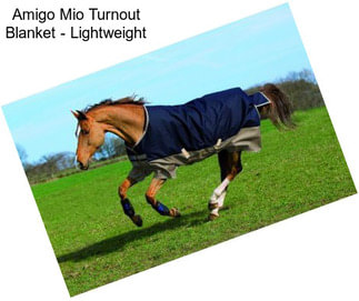 Amigo Mio Turnout Blanket - Lightweight