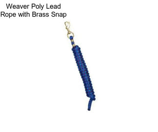 Weaver Poly Lead Rope with Brass Snap