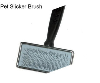 Pet Slicker Brush