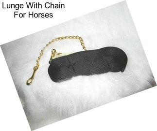 Lunge With Chain For Horses