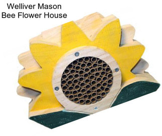 Welliver Mason Bee Flower House