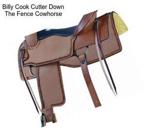 Billy Cook Cutter Down The Fence Cowhorse