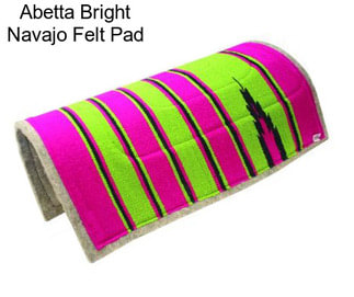 Abetta Bright Navajo Felt Pad