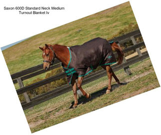 Saxon 600D Standard Neck Medium Turnout Blanket Iv