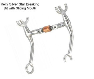 Kelly Silver Star Breaking Bit with Sliding Mouth