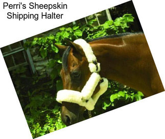 Perri\'s Sheepskin Shipping Halter