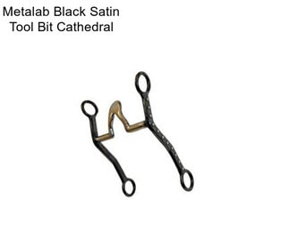 Metalab Black Satin Tool Bit Cathedral