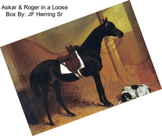 Askar & Roger in a Loose Box By: JF Herring Sr