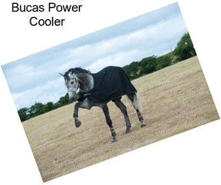 Bucas Power Cooler