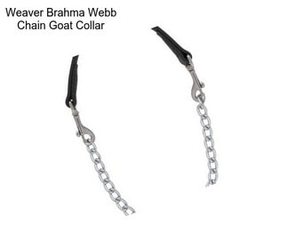 Weaver Brahma Webb Chain Goat Collar