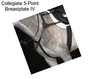 Collegiate 5-Point Breastplate IV