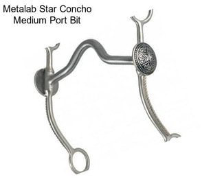 Metalab Star Concho Medium Port Bit