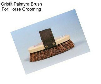 Gripfit Palmyra Brush For Horse Grooming