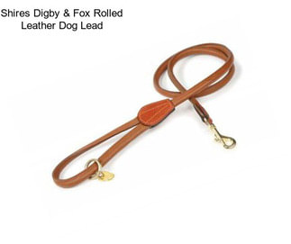 Shires Digby & Fox Rolled Leather Dog Lead