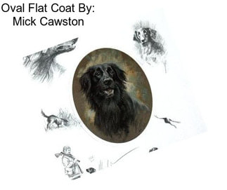 Oval Flat Coat By: Mick Cawston