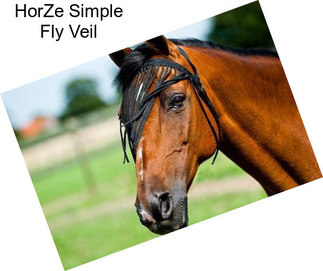 HorZe Simple Fly Veil