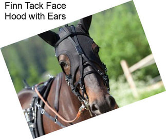 Finn Tack Face Hood with Ears