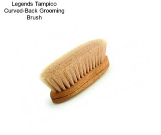 Legends Tampico Curved-Back Grooming Brush