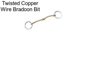 Twisted Copper Wire Bradoon Bit