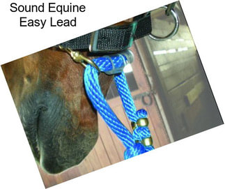 Sound Equine Easy Lead