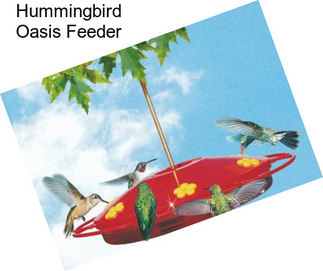 Hummingbird Oasis Feeder