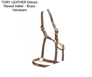 TORY LEATHER Deluxe Raised Halter - Brass Hardware