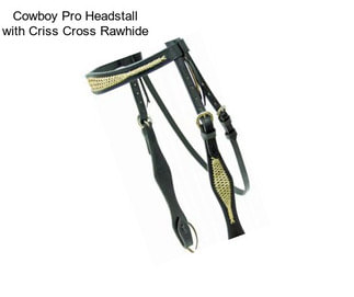 Cowboy Pro Headstall with Criss Cross Rawhide