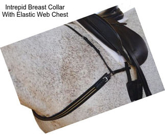 Intrepid Breast Collar With Elastic Web Chest