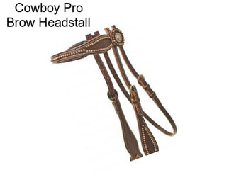 Cowboy Pro Brow Headstall