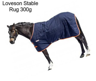 Loveson Stable Rug 300g