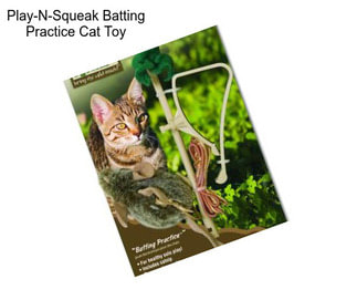 Play-N-Squeak Batting Practice Cat Toy
