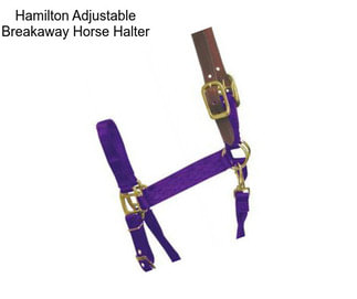 Hamilton Adjustable Breakaway Horse Halter