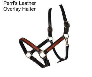 Perri\'s Leather Overlay Halter