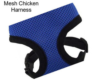 Mesh Chicken Harness