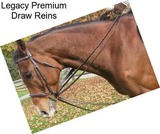 Legacy Premium Draw Reins