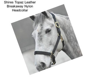 Shires Topaz Leather Breakaway Nylon Headcollar