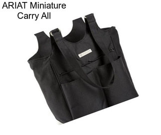 ARIAT Miniature Carry All