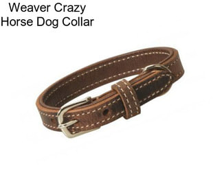 Weaver Crazy Horse Dog Collar