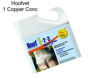 Hoofvet 1 Copper Conc