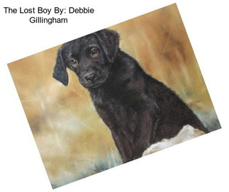 The Lost Boy By: Debbie Gillingham