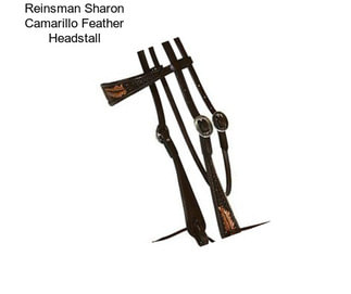 Reinsman Sharon Camarillo Feather Headstall