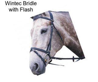 Wintec Bridle with Flash