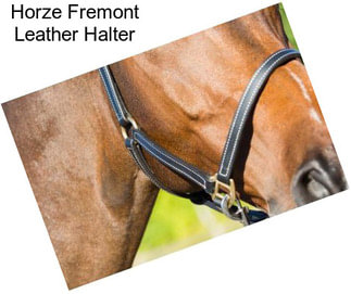 Horze Fremont Leather Halter