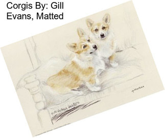 Corgis By: Gill Evans, Matted