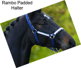 Rambo Padded Halter